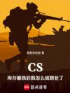 CS:库存暴跌后我怎么成职业了