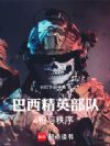 巴西精英部队,枪与秩序