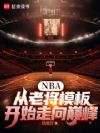NBA:从老将模板开始走向巅峰