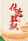仕途狂飙
