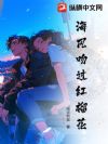 海风吻过红榴花