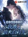 结束冷淡婚姻后,我成了前夫白月光